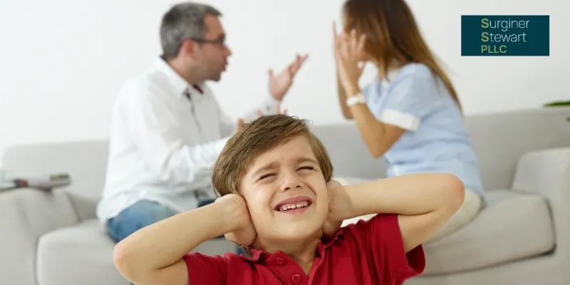 Montgomery County, TX Family Violence Lawyer