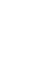 Surginer Stewart PLLC